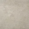 Quartz bone